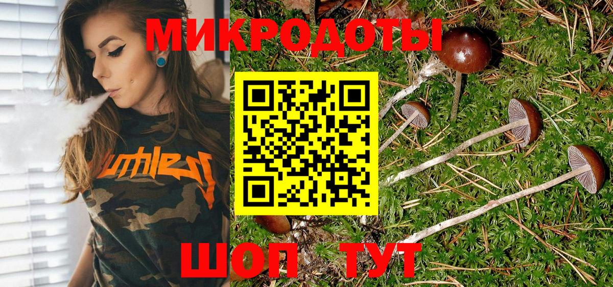 Псилоцибиновые грибы мицелий Кировск