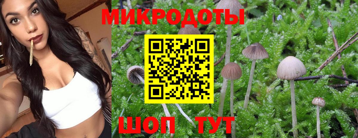Галлюциногенные грибы мицелий  Вход с VPN  Кировск 